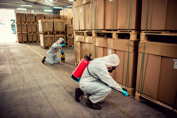 Best Pest Control for Businesses  in Elfers, FL