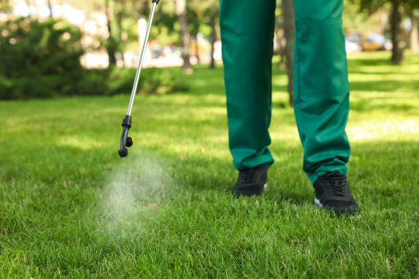 Elfers, FL Pest Control Pros