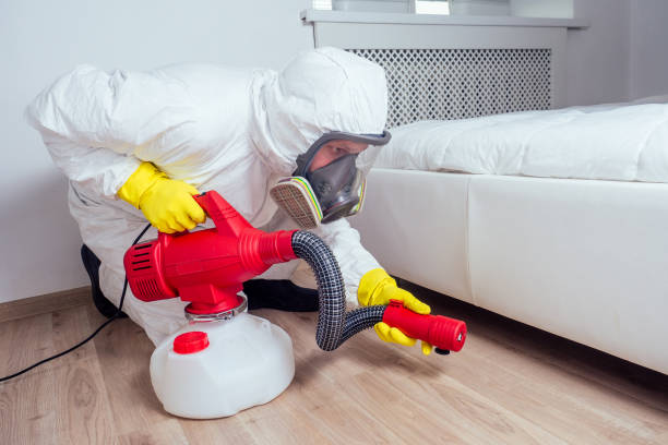 Best Affordable Pest Control Services  in Elfers, FL