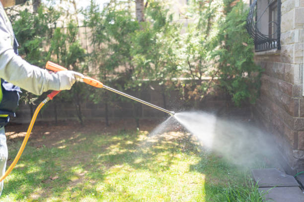 Best Best Pest Control Companies  in Elfers, FL