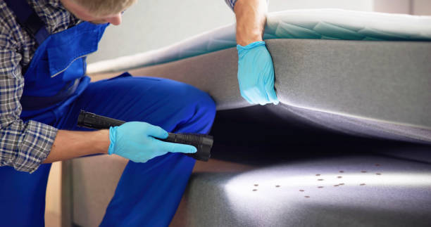 Best Pest Inspection Near Me  in Elfers, FL