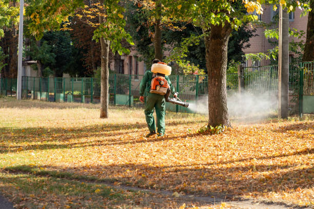 Best Emergency Pest Control  in Elfers, FL