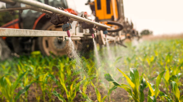 Best Commercial Pest Control Services  in Elfers, FL